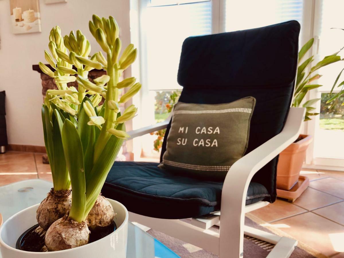 זינסהיים Apartment Casa Del Monte מראה חיצוני תמונה